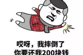 上栗融资清欠服务